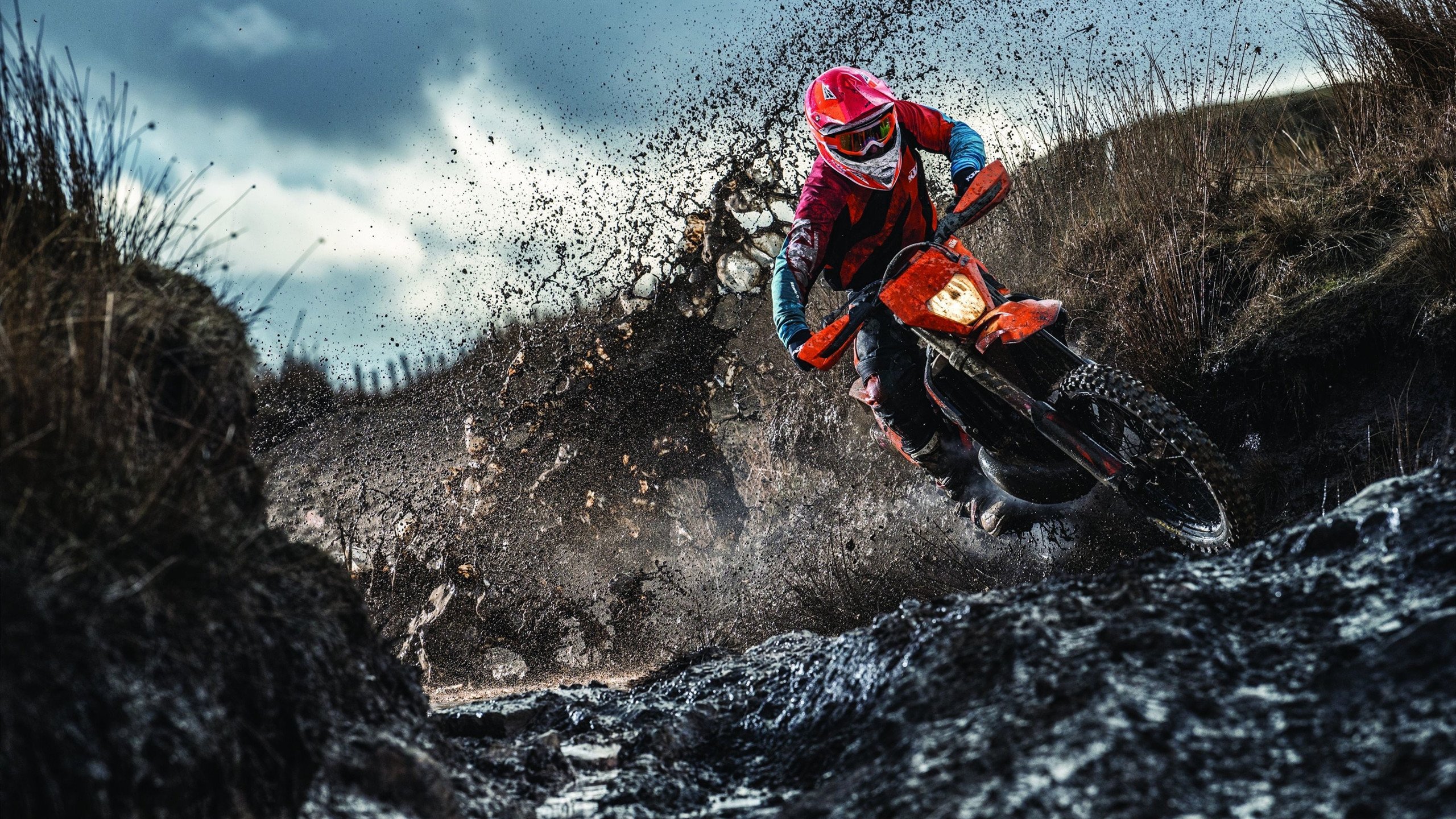 mk体育官网首页-塔特的精准传球，成为袋鼠队制胜的隐形武器