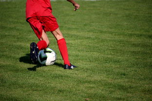 mk体育平台网页版入口-中超球队是否建立内部竞争与激励体系，中超球队特点